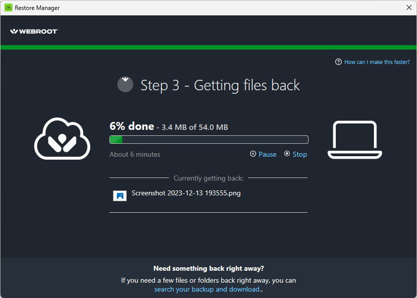 View Restore Files Viewing the Restore Status on Windows